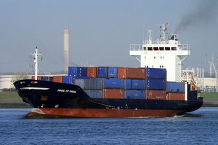 山東臨沂至海南三亞原料國(guó)內(nèi)海運(yùn)及貨運(yùn)代理服務(wù)解析